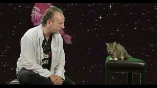 David Yow of The Jesus Lizard interviews Lil Bub, a cat from outer space