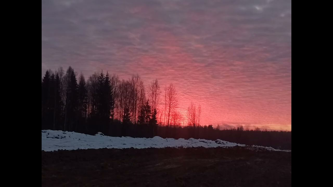 Творчество, заработок, планы, хобби, печь и ткацкий станок. 
