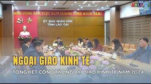 Tổng kết công tác ngoại giao kinh tế năm 2024 | THLC