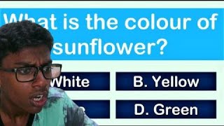 This Qna Game Left Me BRAINDEAD