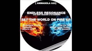 Endless Resonance - Did You Try