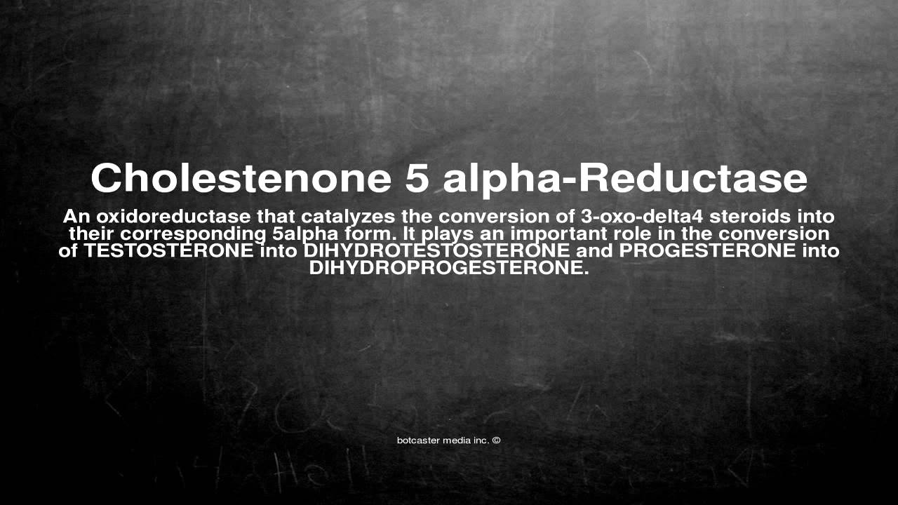 Medical Vocabulary What Does Cholestenone 5 Alpha Reductase Mean Medical Vocabulary What Does Cholestenone 5 Alpha Reductase Mean