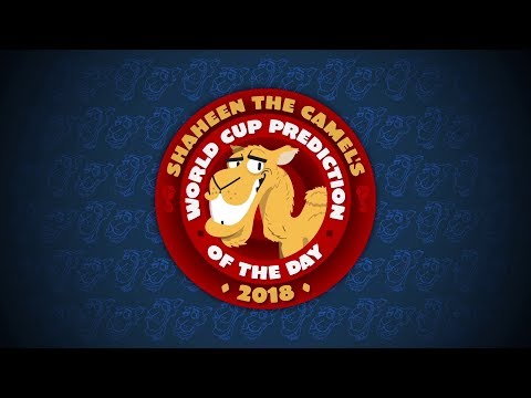 Video Shaheen the World Cup predicting camel is back