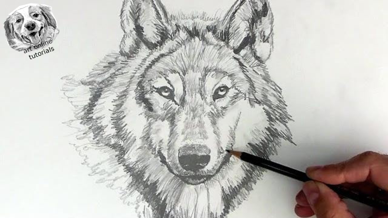 How To Draw A Wolf Face - Youtube