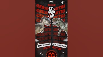 Cerato vs Metri! Who do you think has the edge? #shorts