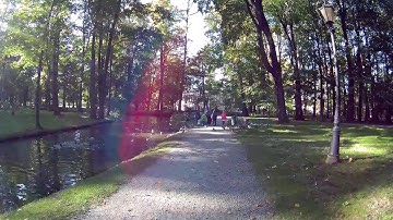 gitup git2 zywiec park pigeon and duck party pushchair movie 1080p 60fps