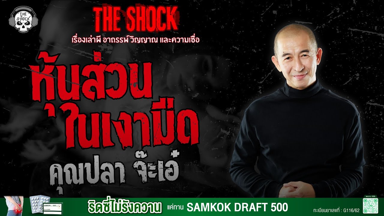 หุ้นส่วนในเงามืด คุณปลา จ๊ะเอ๋ | THE SHOCK