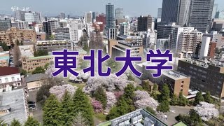 【賢者の選択FUSION】創設から115年、総合大学として100年の歴史を刻む東北大学の理念と取り組みとは？　国立大学法人東北大学