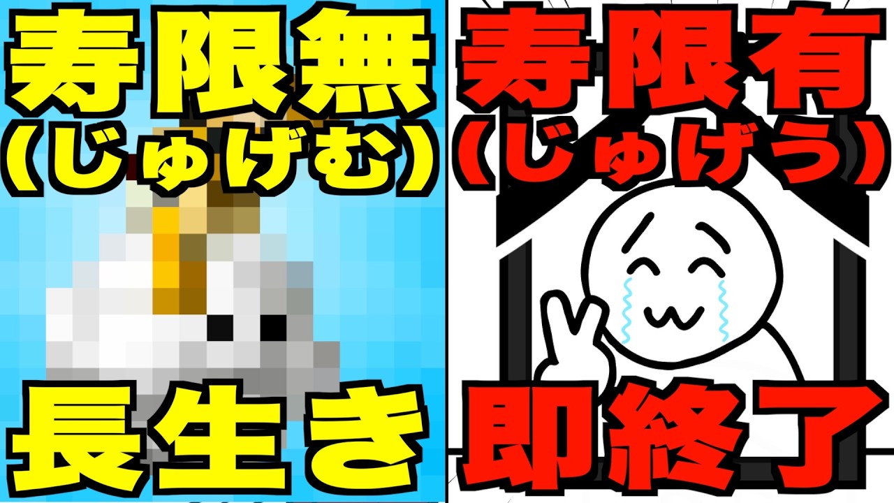 じゅげむです The opposite of Jugemu!? The birth of Jugeu - YouTube