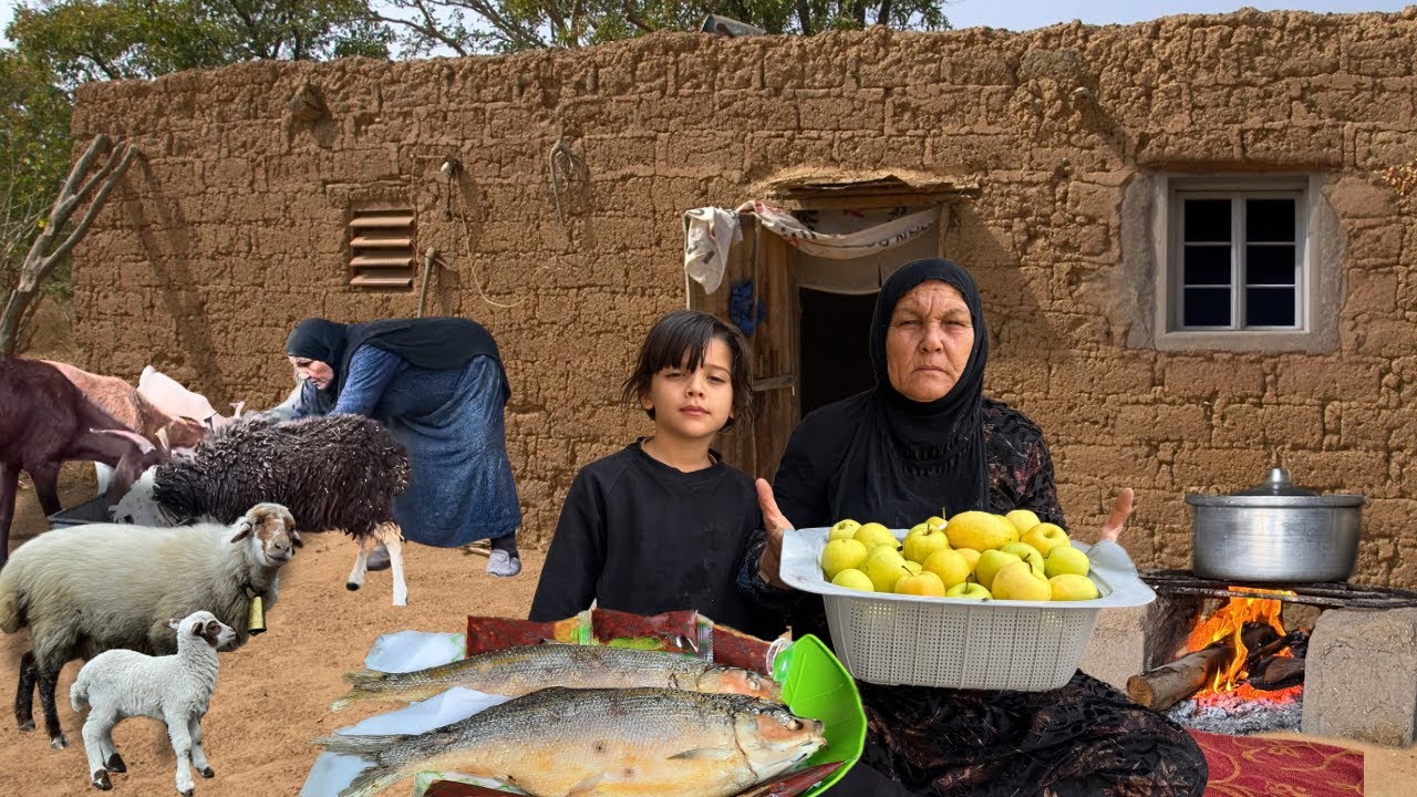 قصة حياة جدة وحيدة في جنوب إيران:رعاية الغنم، طبخ السمك و صراع البقاء في الحياة الريفية التقليدية
