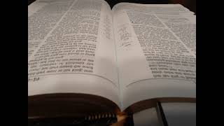 Day 229 - Jeremiah 35-37 JUST THE WORD