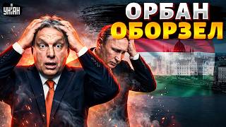 Громкая отставка Орбана! Венгерский любитель Путина шокировал заявлением. Новая власть в Будапеште
