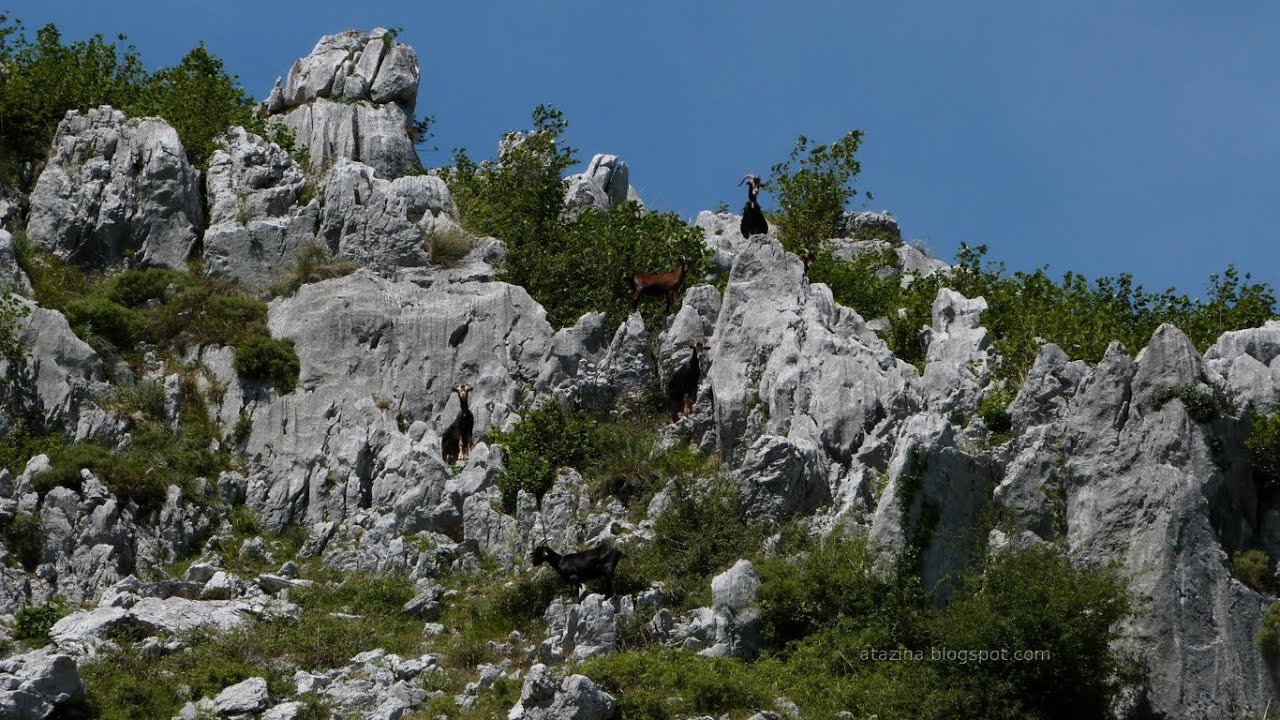 Peña Ranero / Picón del Carlista (Cantabria - Vizcaya)