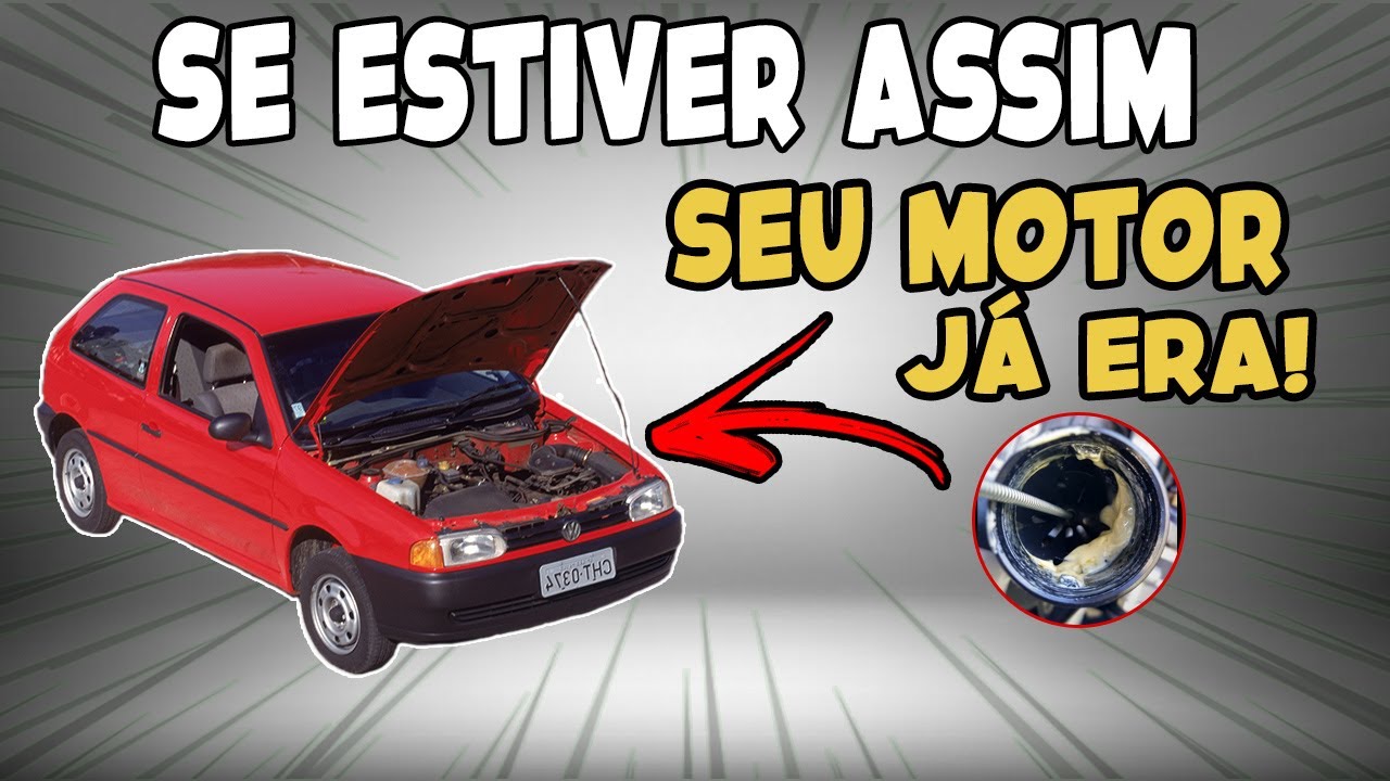 Conclusos Os Autos Para Despacho O Que Quer Dizer