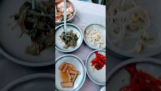 🦋포항 물회🦋