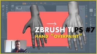 zbrush tips #7 - anatomy of hand | overpaint 3D