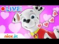 ❤️ LIVE: Happy Valentine's Day w/ PAW Patrol & More! | Nick Jr.