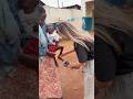 Little Ibrahim 🫶🏼 #shorts #shortvideo #shortsfeed #viral #viralvideo #fyp #love #explore #happy