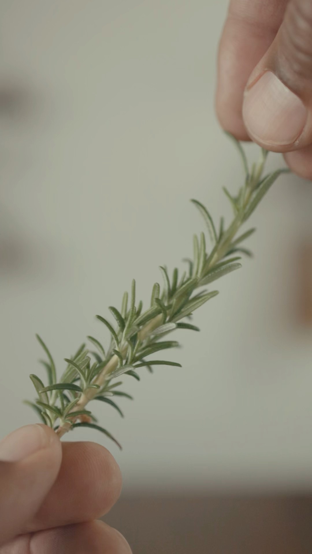 Rosemary Espresso Spritz - Details in Description - YouTube