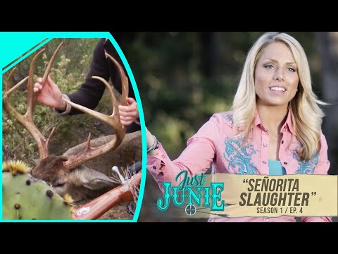 Just Junie S1:E4 Señorita Slaughter | Mas Cazadores Mas Javelinas
