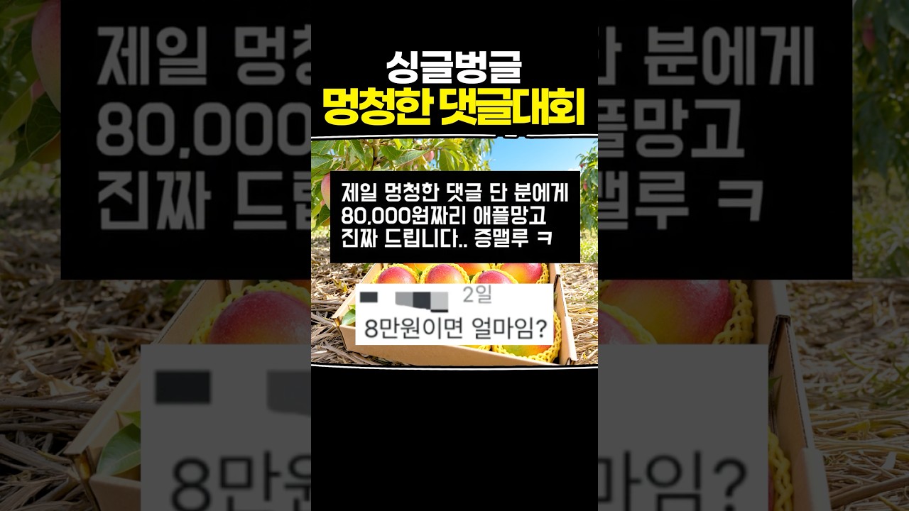싱글벙글 멍청한 댓글대회