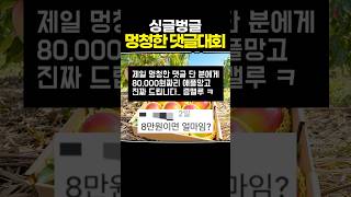 싱글벙글 멍청한 댓글대회