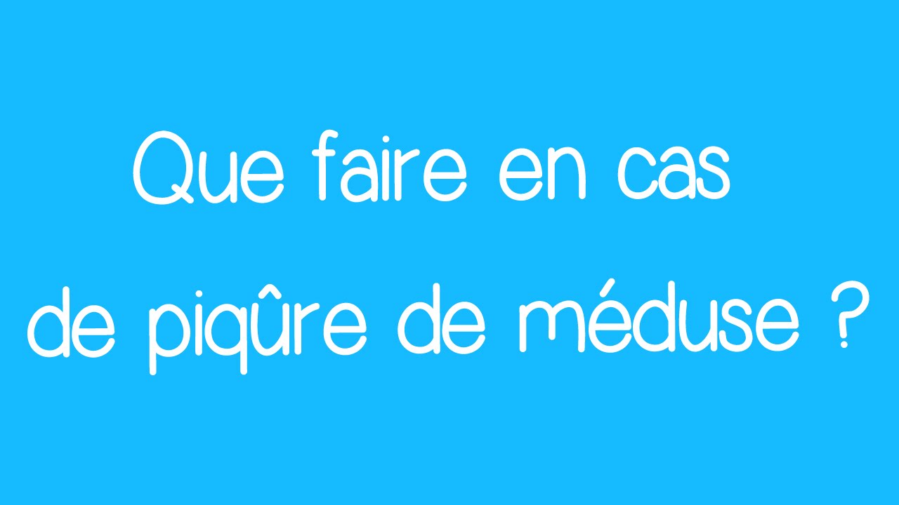 Que faire en cas de piqûre de méduse ? YouTube