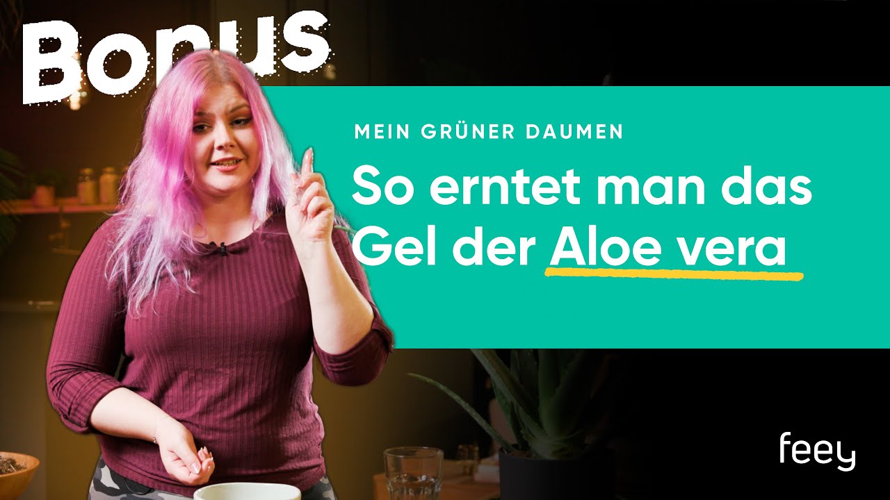 Aloe vera Gel  das sind unsere besten Rezepte [Liste & Video]  feey AG