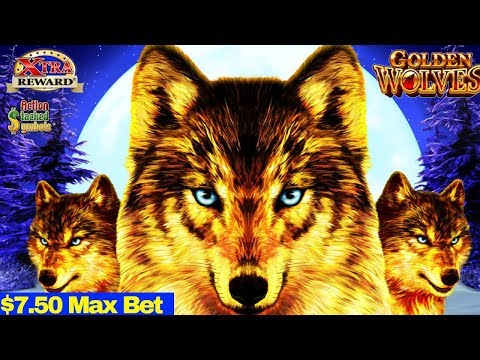 Golden Wolves Slot $7.50 Max Bet BONUS | Chili Chili Fire Slot BONUS | SHIKIBU Slot Bonus |LIVE PLAY