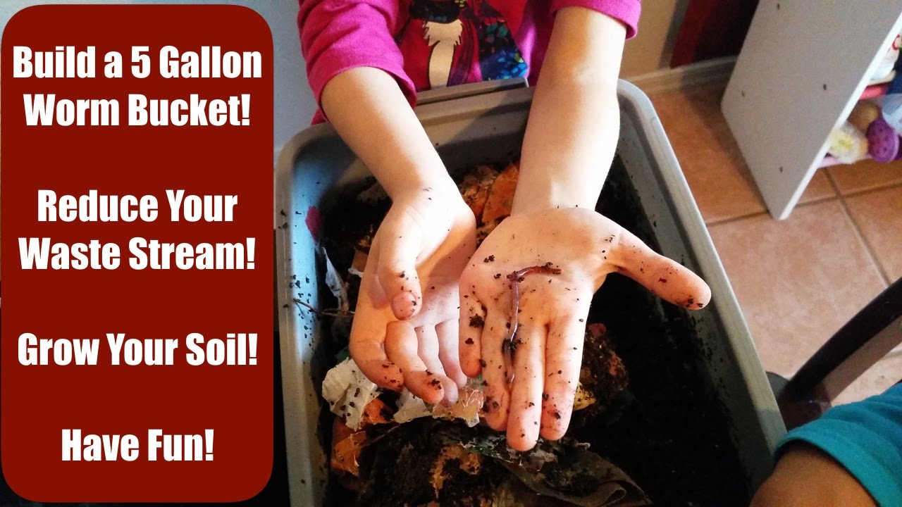 DIY 5 Gallon Bucket Worm Bin YouTube