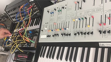 Korg Synth Jam: Harmonic Minimal Modular Improv (MS-20+ARP+EURORACK+SQ-01)