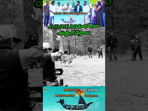 SERA - Vas-y | Beste Zangers 2024