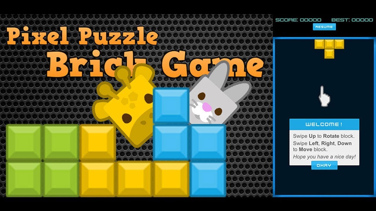 Pixel Puzzle Brick Game