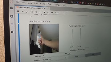 Thumbs up/down live inference (Jetson Orin Nano, PyTorch)