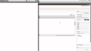 Wordpress Tutorial | Add pictures and videos to your post.mp4