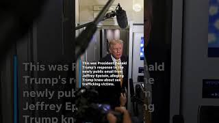Donald Trump on Jeffrey Epstein emails: 'I know nothing about that'