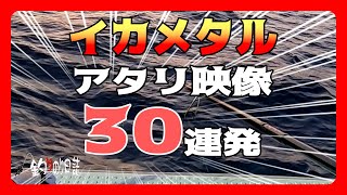 【釣りのり日誌】イカメタル　アタリまでの映像30連発！