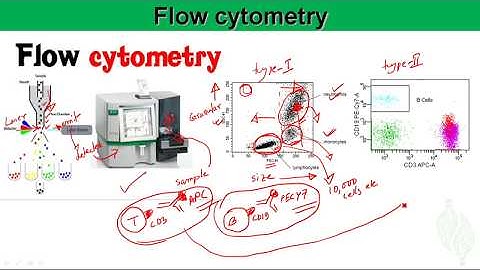 Basic Immunology 8: Microscopy and flow cytometry to see your immune cells
