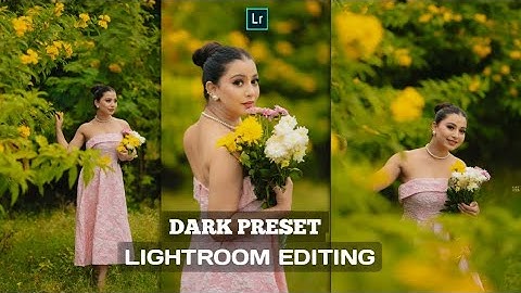 FREE LIGHTROOM PRESET  ll EDITING MAX NEW HDR COLOUR OUTDOOR ll DARK LIGHTROOM one click mein edit ✅
