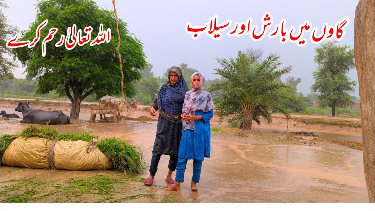 Gaon ma barish aur silab  /Allah reham kara /village flood in Punjab ,/Village life in Pakistan 