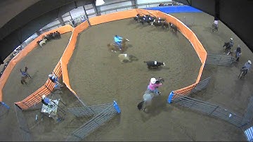 Big Sky Ranch Sorting Saddle Series #2 - Open H/C - Round #1 - Ride #8