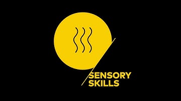 Certified SCA Sensory Skills Online!