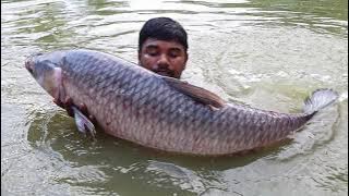 Catch a Lot of Fish With Cast Net  | Net Fishing in Pond