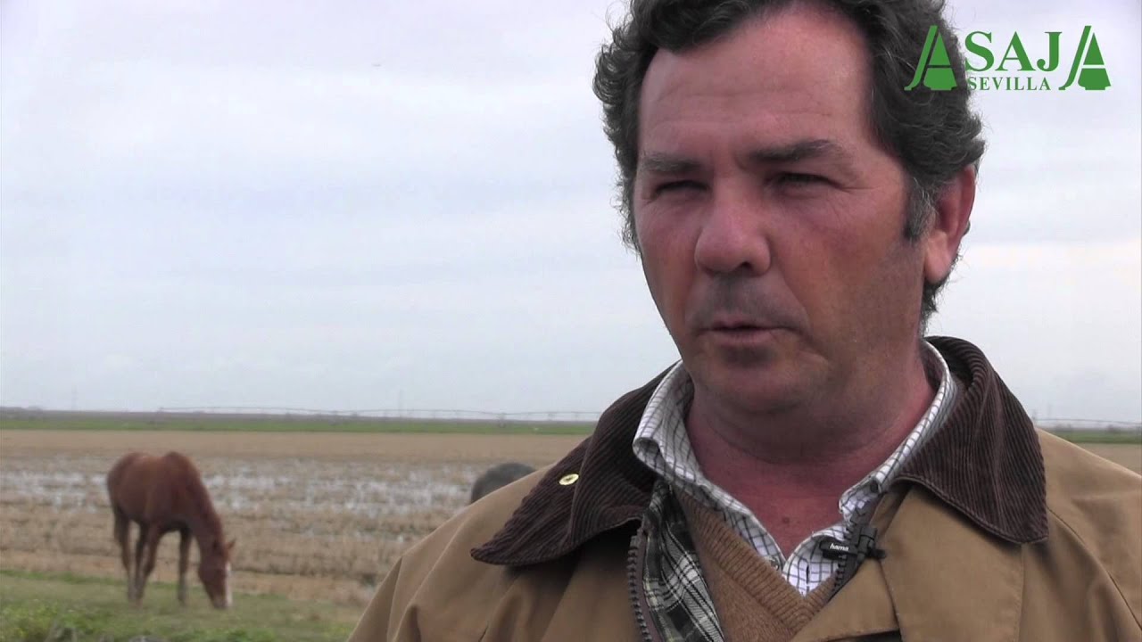 La agricultura integrada garantiza la biodiversidad de Doñana