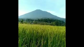 Story wa suling sunda