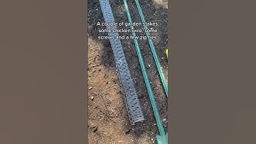Easy DIY garden trellis for cucumbers and other vining plants.  #shorts #edenbrothers #gardening