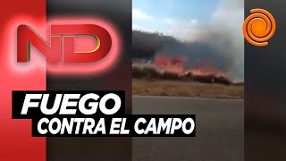 Ola de ataques al campo