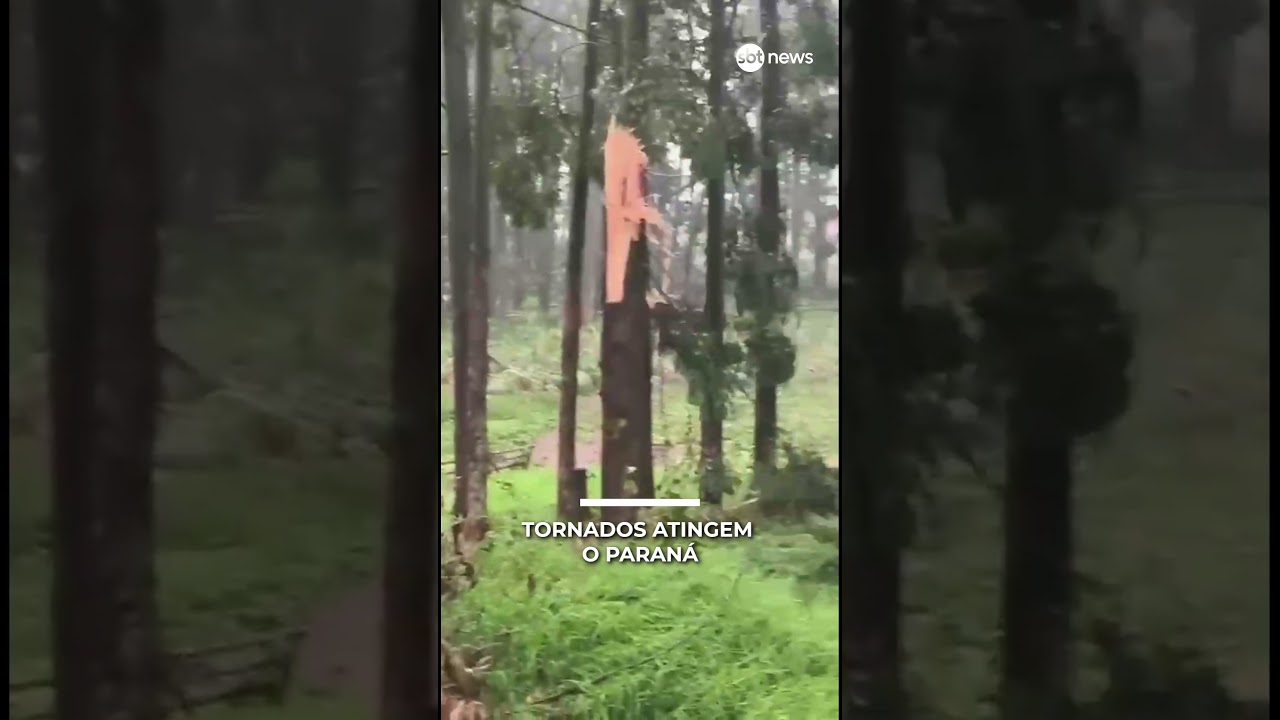 Dois tornados atingem o Paraná em intervalo de 10 horas | #SBTNews