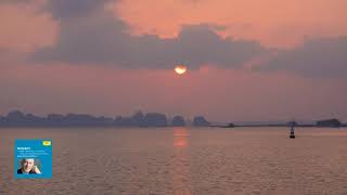 Mozart : Concerto for Piano and Orchestra No.17 in G major, K.453 / Pollini 2005