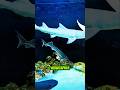 Kesalahan Fatal Saat Memindahkan Sturgeon #ikan #aqaurium #shorts